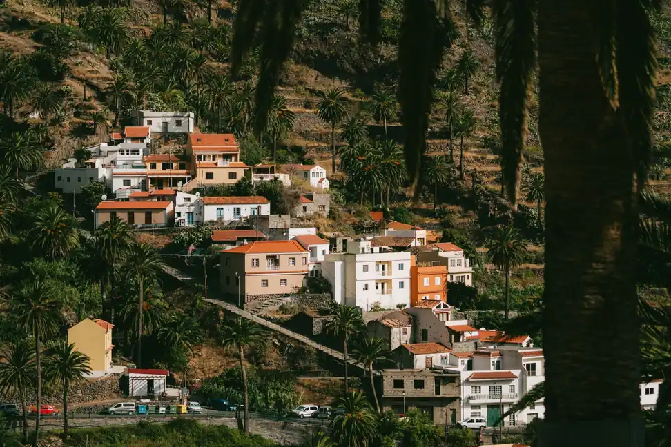 Casas de colores con tejados de teja en una ladera entre palmeras