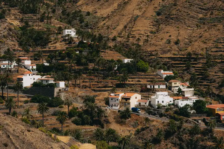 Casas blancas entre palmeras y bancales en una ladera de las islas Canarias