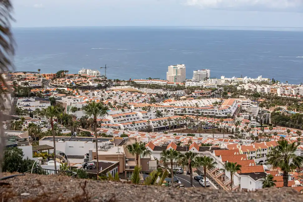 Urbanización de viviendas blancas con palmeras junto al mar