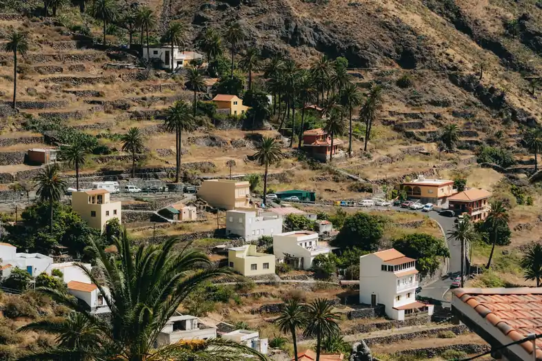 Casas de pueblo sueltas entre bancales de piedra y palmeras en una ladera de las islas Canarias