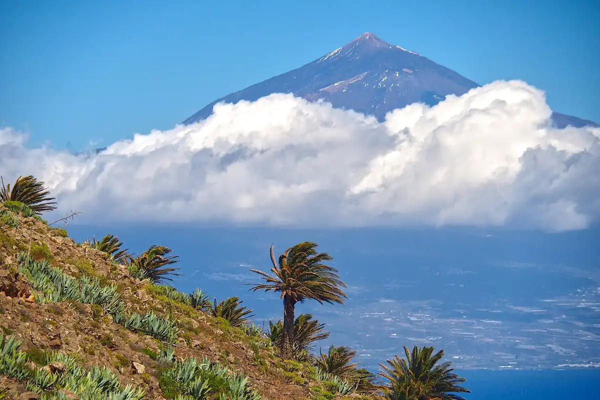 El Teide asomando sobre un banco de nubes, con palmeras y pitas en una ladera frente al mar