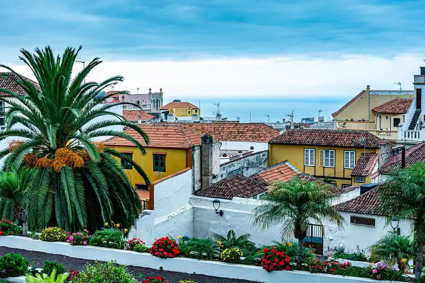 Tejados de teja y casas antiguas entre palmeras, con el mar al fondo, en un casco antiguo de Tenerife