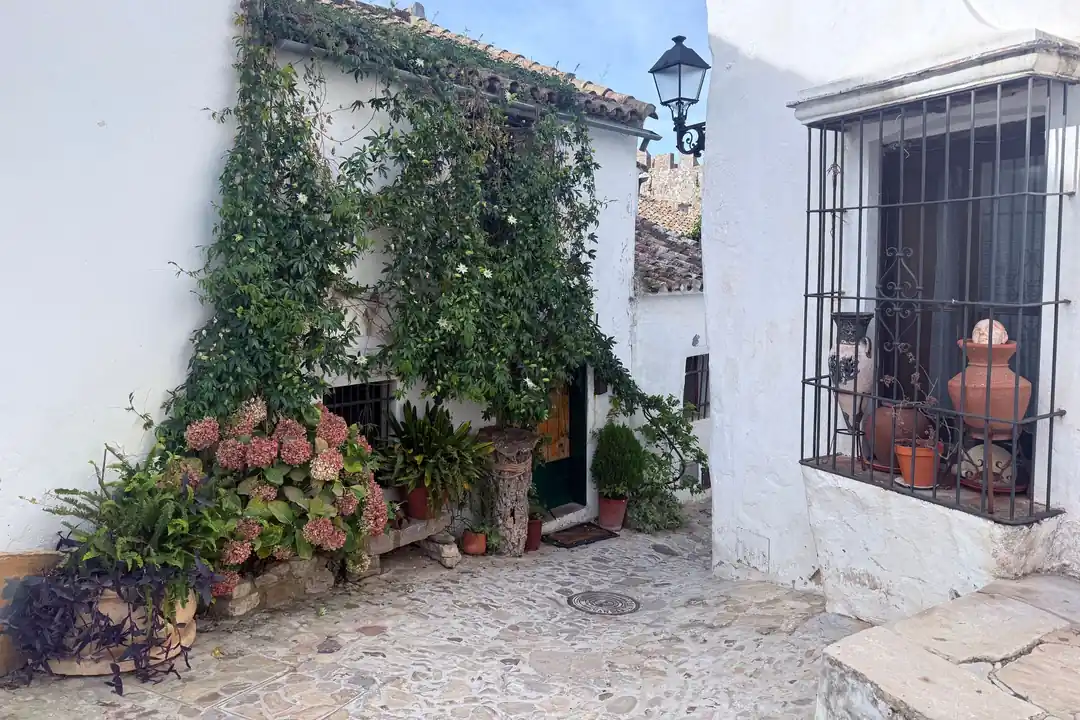 Casa encalada con plantas trepadoras y macetas en una calle empedrada
