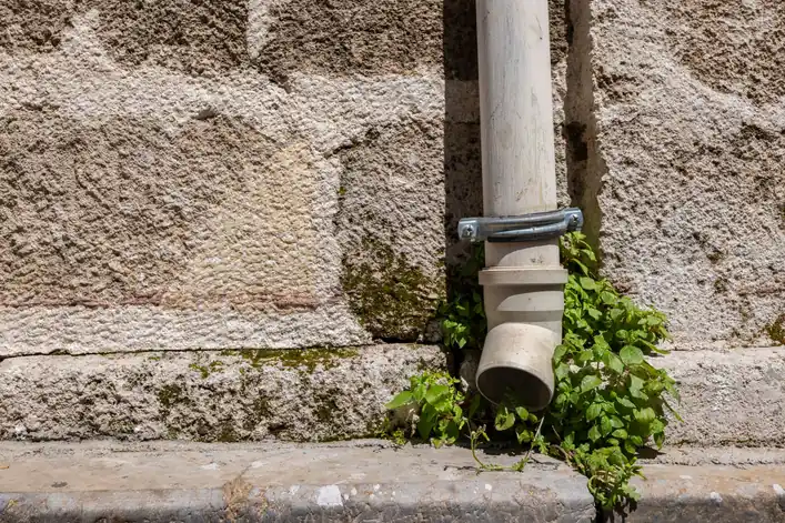 Tubo de desagüe sobre un muro de piedra con musgo y plantas en la base