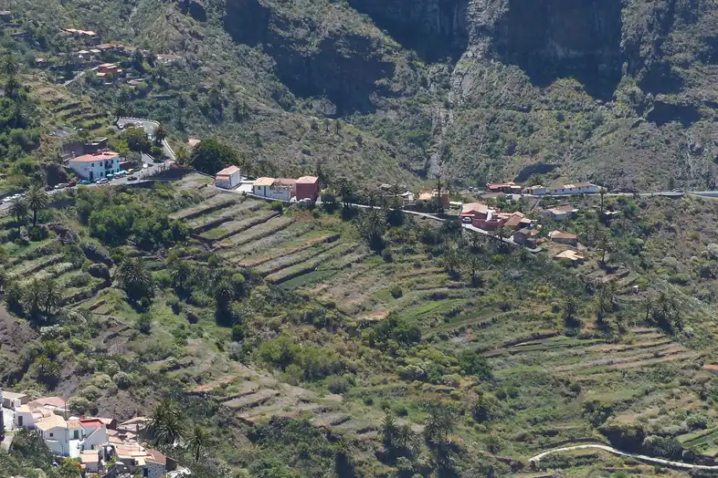Casas dispersas entre bancales y palmeras en la ladera de un barranco de Tenerife, vistas desde lejos