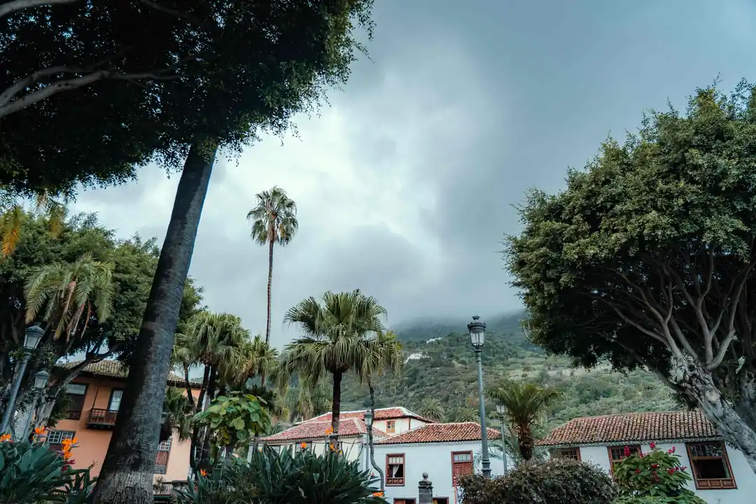 Casas de tejas rojas y ventanas de madera entre palmeras, con una montaña cubierta de nubes bajas, en el norte de Tenerife