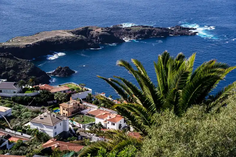 Casas blancas y de tejas rojas junto a una costa de roca volcánica, con una palmera en primer plano y el océano al fondo